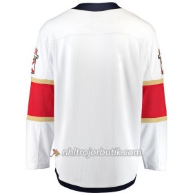 Män Ishockey Florida Panthers Tröja Blank Adidas Vit Authentic